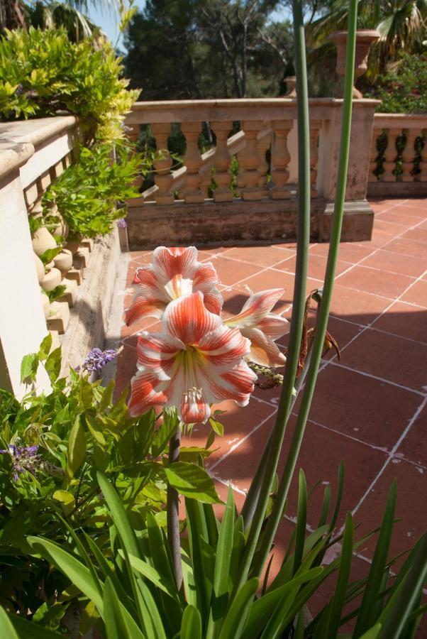 Casa De Las Vistas パルマ・デ・マリョルカ エクステリア 写真