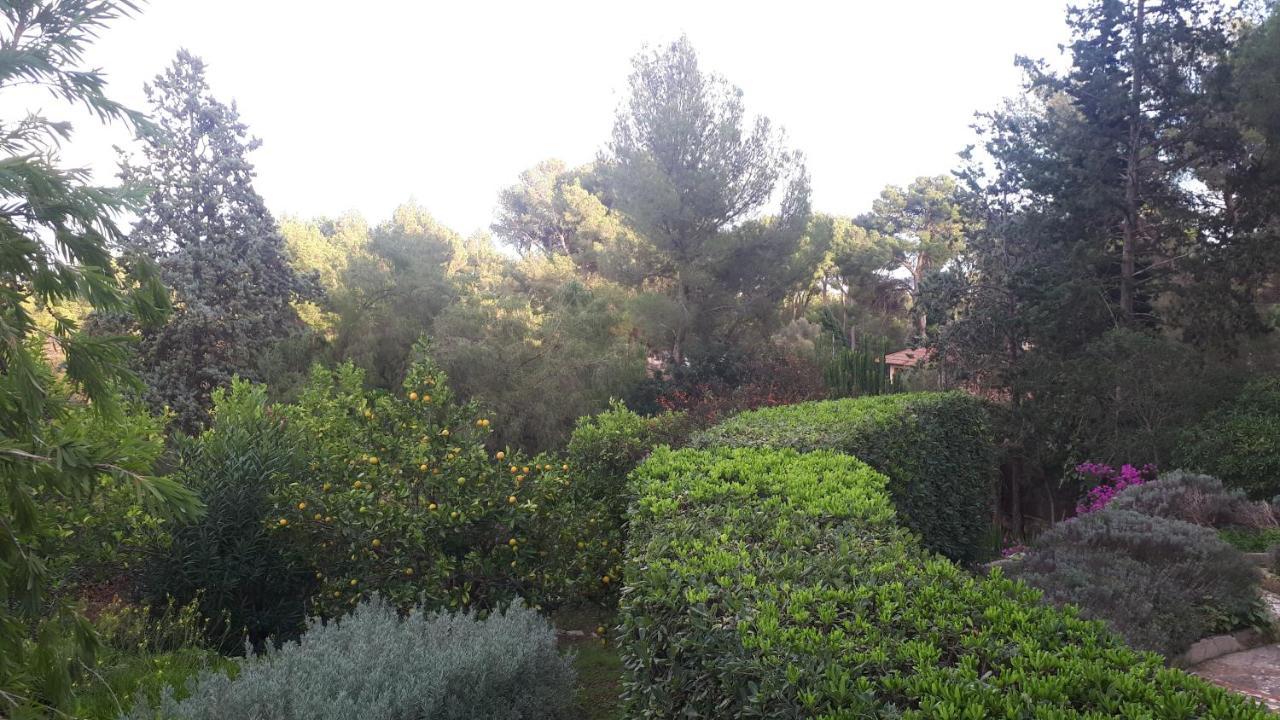 Casa De Las Vistas パルマ・デ・マリョルカ エクステリア 写真