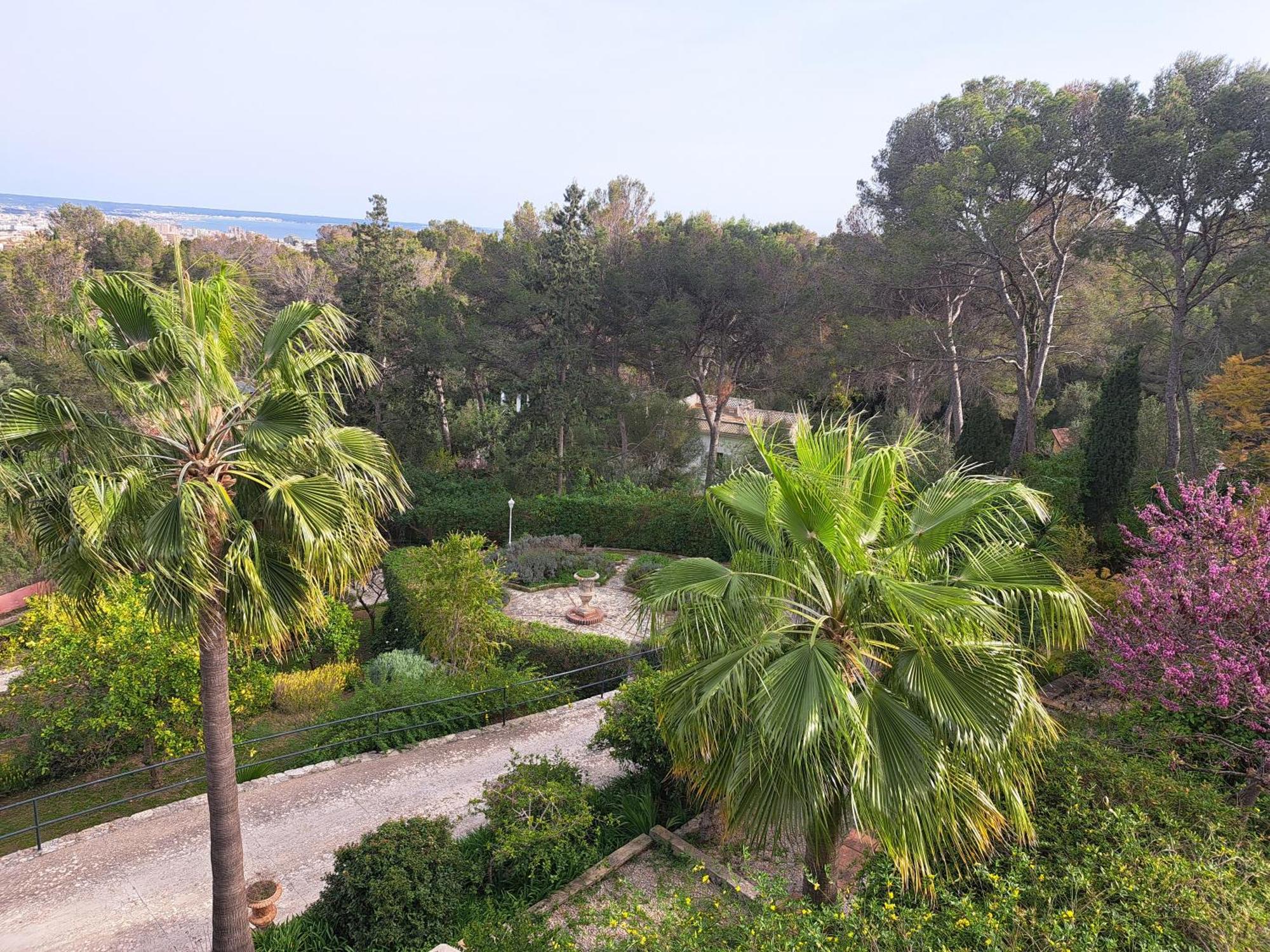Casa De Las Vistas パルマ・デ・マリョルカ エクステリア 写真