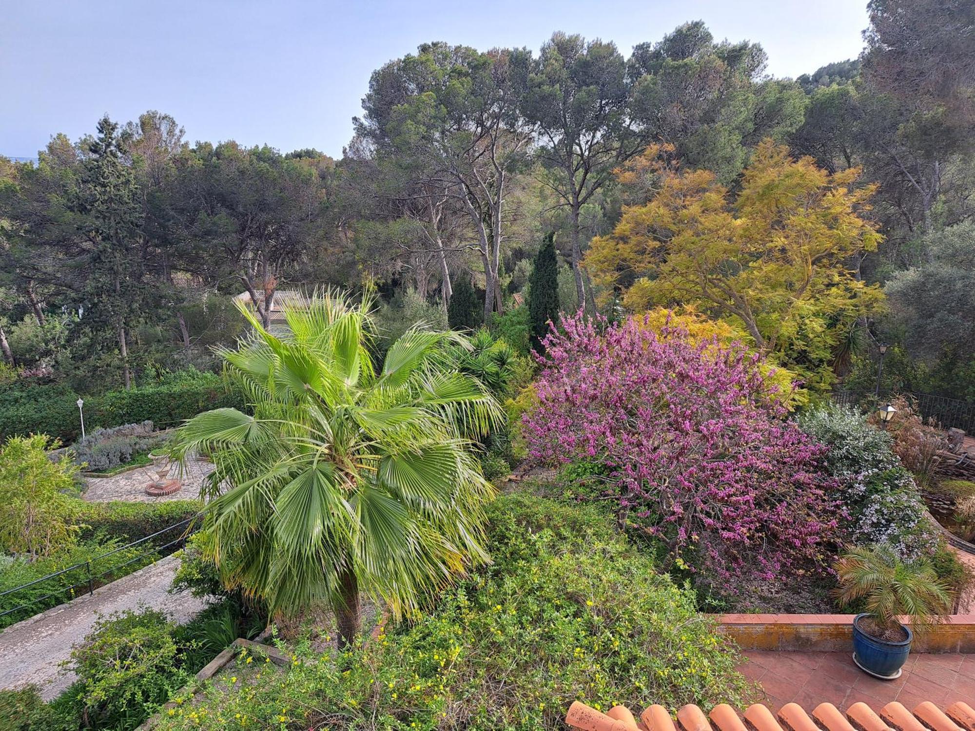 Casa De Las Vistas パルマ・デ・マリョルカ エクステリア 写真