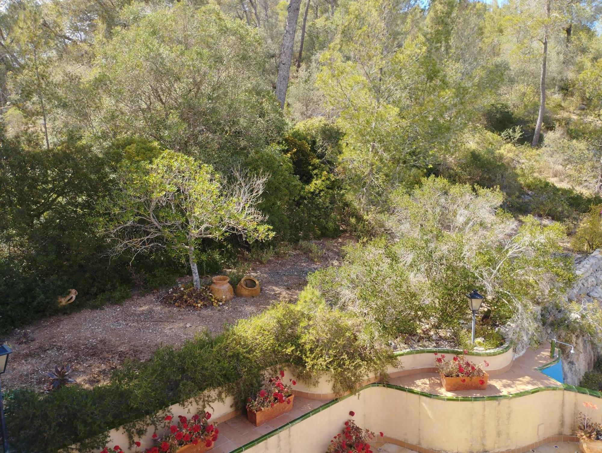 Casa De Las Vistas パルマ・デ・マリョルカ エクステリア 写真